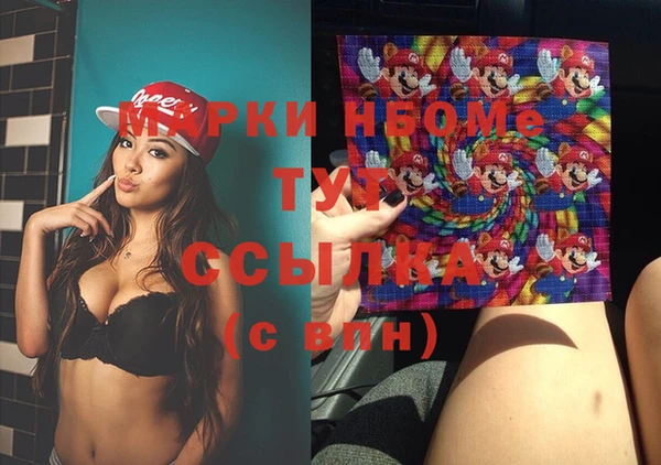 ГАЛЛЮЦИНОГЕННЫЕ ГРИБЫ Строитель